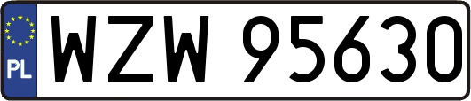 WZW95630