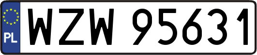 WZW95631
