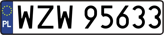 WZW95633