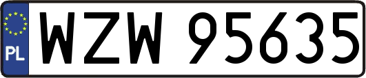 WZW95635