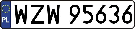 WZW95636