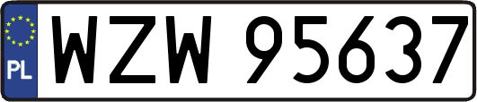 WZW95637