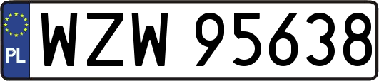 WZW95638