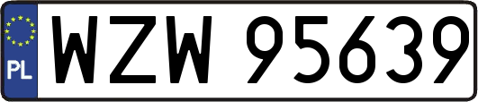 WZW95639