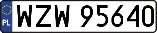 WZW95640