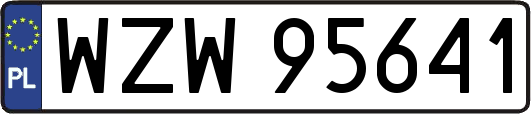 WZW95641