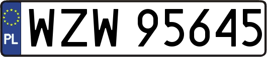 WZW95645