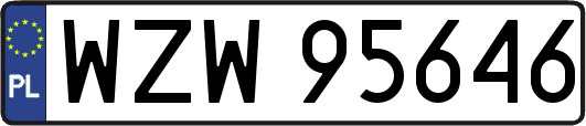 WZW95646