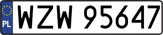 WZW95647