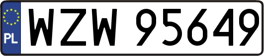 WZW95649