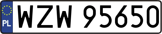 WZW95650