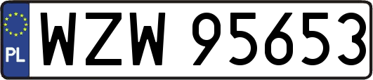 WZW95653