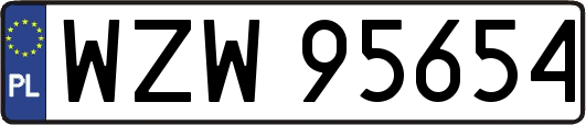 WZW95654