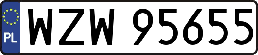 WZW95655