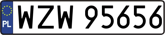 WZW95656