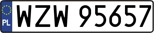 WZW95657