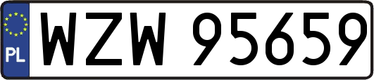 WZW95659
