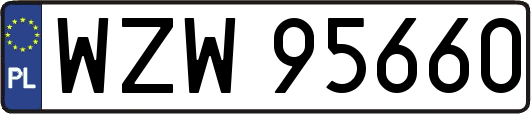 WZW95660