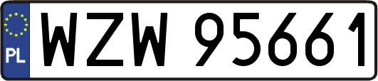 WZW95661