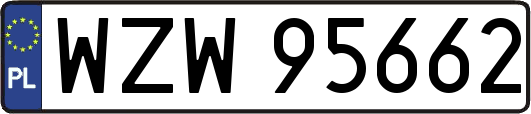 WZW95662