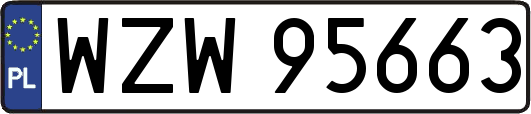 WZW95663