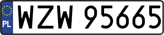 WZW95665