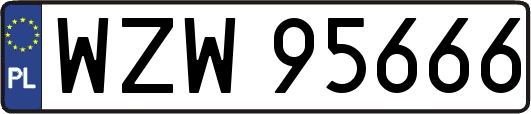 WZW95666
