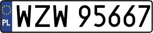 WZW95667