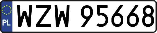WZW95668