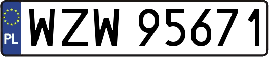WZW95671