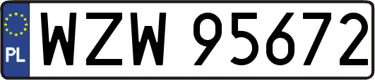 WZW95672