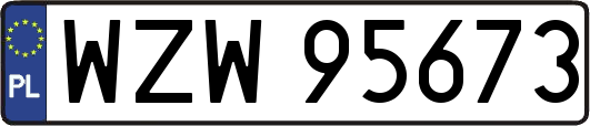 WZW95673