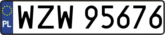WZW95676