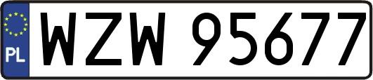 WZW95677