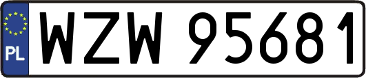 WZW95681