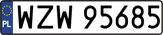 WZW95685