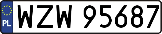 WZW95687