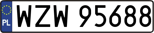 WZW95688
