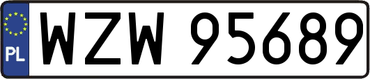 WZW95689