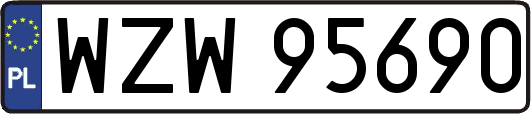 WZW95690