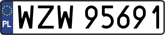 WZW95691