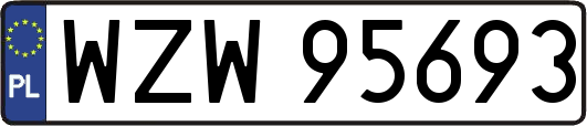 WZW95693