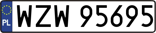 WZW95695