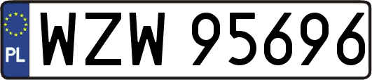 WZW95696