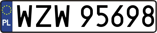 WZW95698