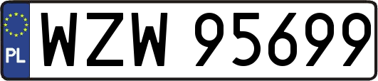 WZW95699