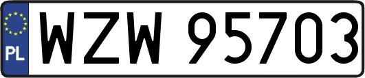 WZW95703