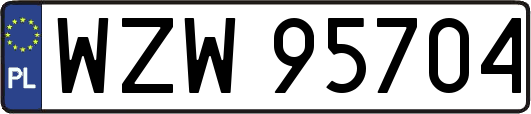 WZW95704