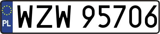 WZW95706