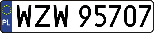 WZW95707